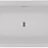 Акриловая ванна Riho Desire Back2wall BD07005S1WI1170 180х84 белая глянцевая Sparkle System с LED 