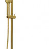 Душевая стойка WasserKRAFT Aisch A15501 золото матовое 