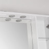Зеркало-шкаф Style Line Ирис 65/С белый 
