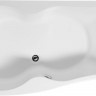 Акриловая ванна Aquanet Nicol 170x85 L с каркасом 