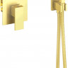 Гигиенический душ Timo Selene 2089/17SM со смесителем, с внутренней частью, золото 