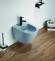 Биде подвесное Ceramalux В2342BDMHL 