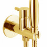 Гигиенический душ Webert Elio EL870302010ANTIC со смесителем, золото 